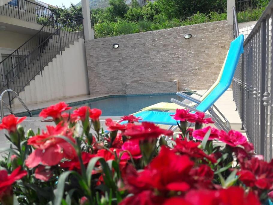 2Br Apartment With Pool Kotor Luaran gambar